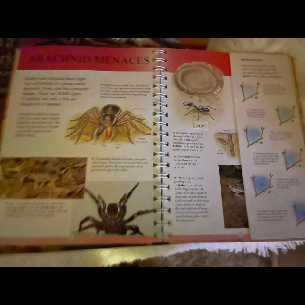 Book bundle - Picture 3 of 9